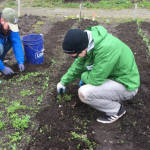 Emerging Leaders volunteering