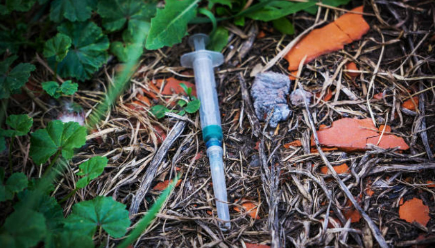 Discarded syringe lying on ground among weeds and litter.