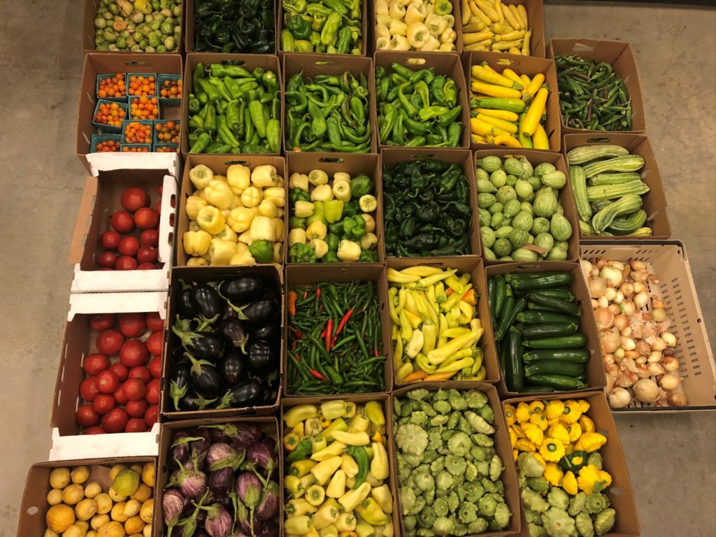 Boxes of assorted vegetables.
