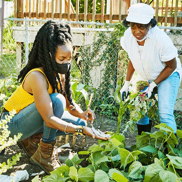 two people working in a community garden