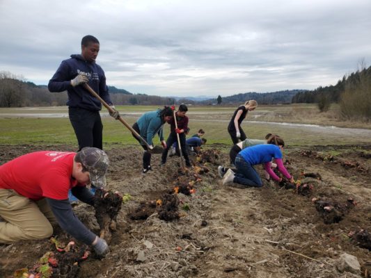 A group of volunteers supporting a farm