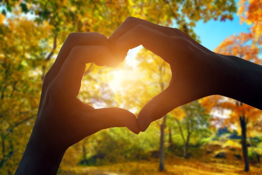 It’s Autumn: What Do You Need Help With?